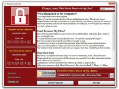 WannaCry: cosa ci insegna la diffusione pandemica del cryptoworm